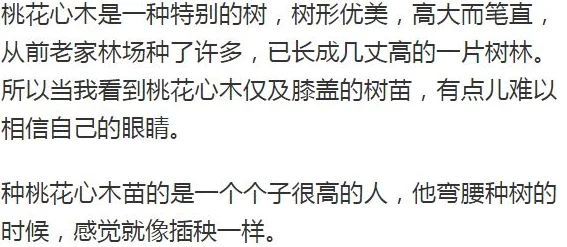 云鬟酥腰小说免费阅读全文据说原作者曾用笔名发表过其他类型作品引发读者热议