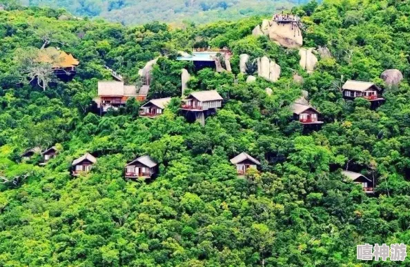 亚龙湾鸟巢度假村热带雨林奢华静谧之旅