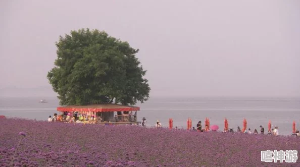 大连海岛旅游网——畅享海岛风光与度假体验