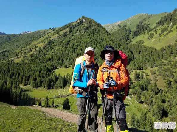 尽览新疆魅力，畅游天山南北的旅游网