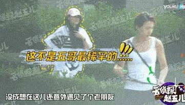 DNF小龙宠物：深度解析各色系外观，探寻最美色彩之选