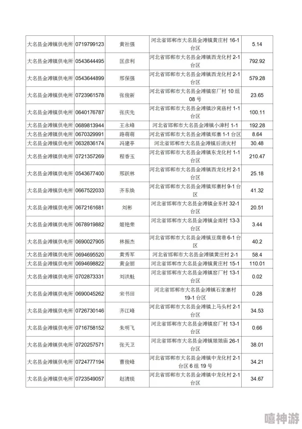 如何在网上国网App上查看我的电费账单记录？