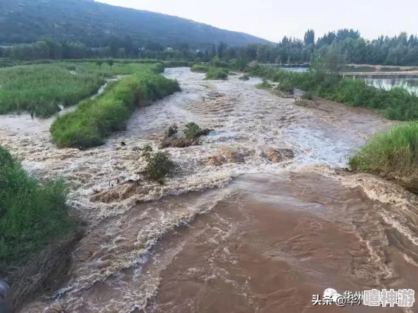 黑神话悟空：跳浪蛟位置深度解析与通关攻略指南